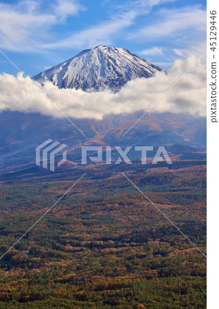 Fuji, Momijidai, Yamanashi Prefecture 45129446