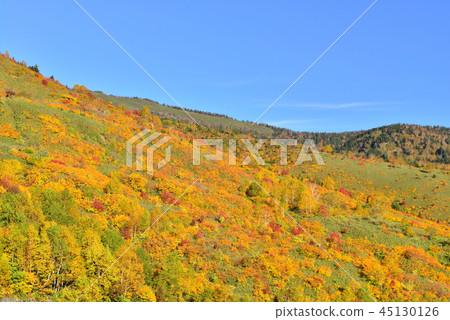 Autumn leaves of Hachimantaira Autumn leaves of Hachimantaira 45130126