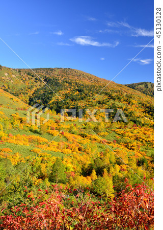 Hachimantaira秋葉 Hachimantaira秋葉 45130128