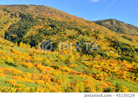 Hachimantaira秋葉 Hachimantaira秋葉 45130129