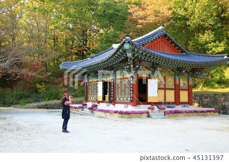 喚醒塔,國寶,寶藏,廢墟,寺廟,寺廟,音樂廳 喚醒塔,國寶,寶藏,廢墟,寺廟,寺廟,音樂廳 45131397