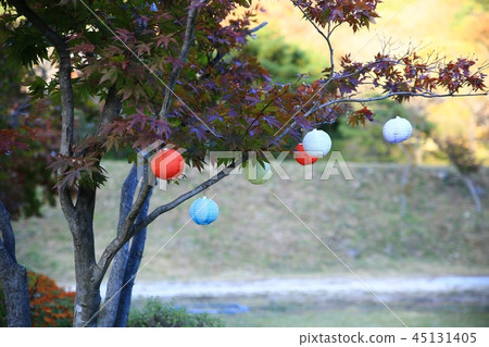 Wake tower, national treasure, treasure, ruins, temple, temple, concert hall 45131405