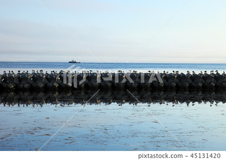 Sea of Noshappu cape 45131420