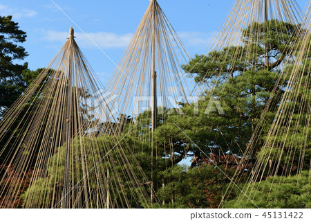 Kenrokuen (Snow Festival) Kenrokuen (Snow Festival) 45131422