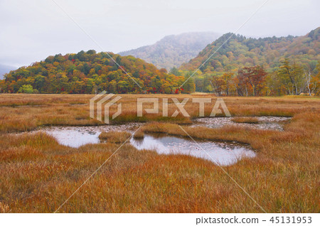 Ozegahara of the season of grass autumn leaves Ozegahara of the season of grass autumn leaves 45131953