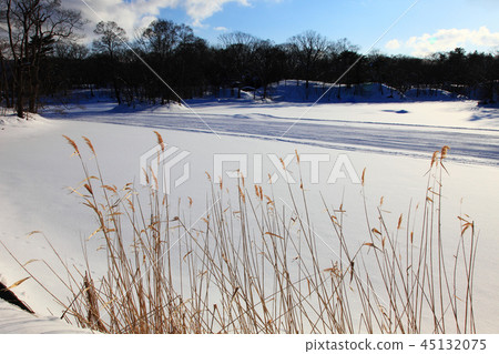 大沼準國家公園在冬天 大沼準國家公園在冬天 45132075