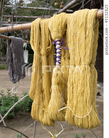 Plant dyeing Plant dyeing 45132825