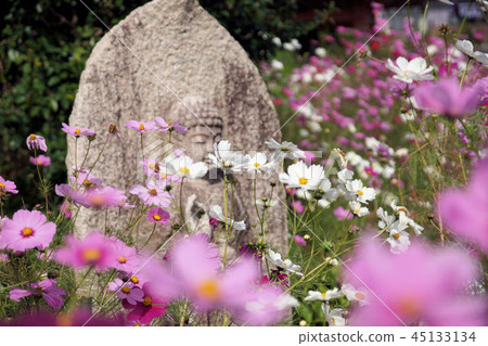 Thought Thought 45133134