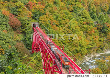 Kurobe Canyon Torokko Railway 45133181