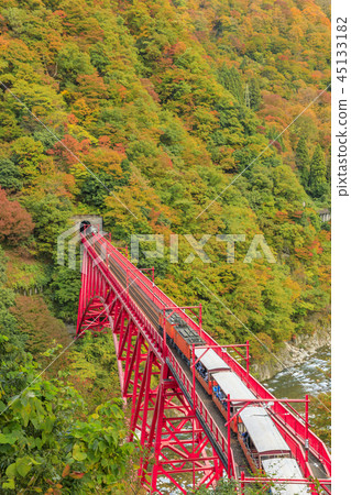 Kurobe Canyon Torokko Railway 45133182