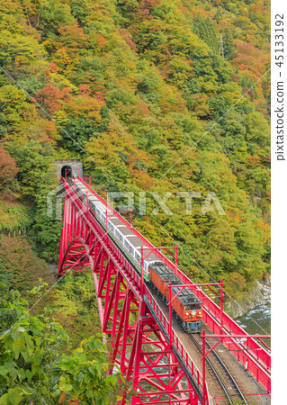 Kurobe Canyon Torokko Railway 45133192