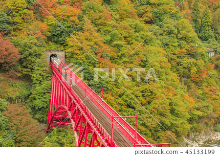 Kurobe Canyon Torokko Railway 45133199