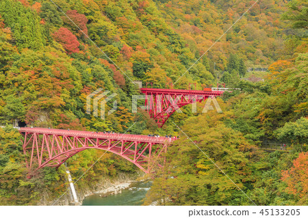 黑部峽谷Torokko鐵路 45133205