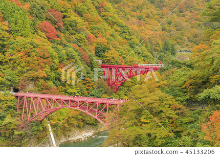 Kurobe Canyon Torokko Railway 45133206