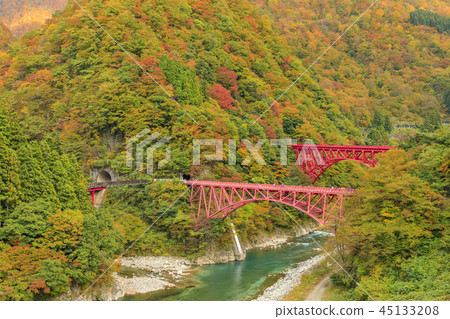 Kurobe Canyon Torokko Railway 45133208