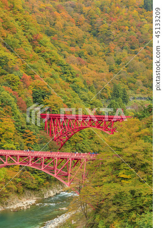 Kurobe Canyon Torokko Railway 45133209