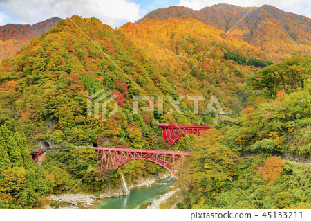 Kurobe Canyon Torokko Railway 45133211