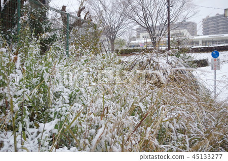 住房區復雜的雪景 住房區復雜的雪景 45133277
