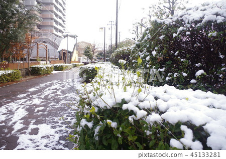 住房區復雜的雪景 45133281