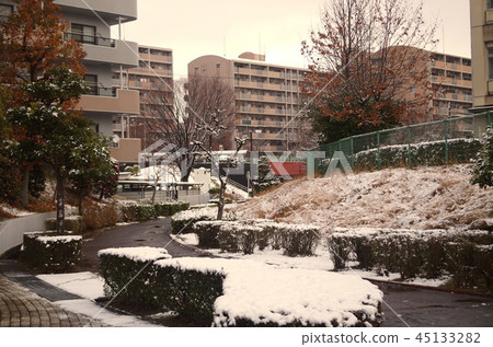 住房區復雜的雪景 45133282