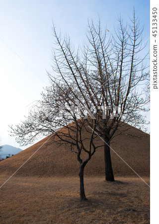 Daeleung, Gyeongju, Gyeongbuk 45133450