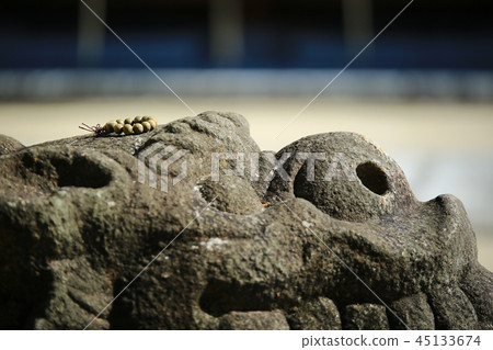 Temple, temple, religion, Buddhism, Hwaeomsa Temple 45133674