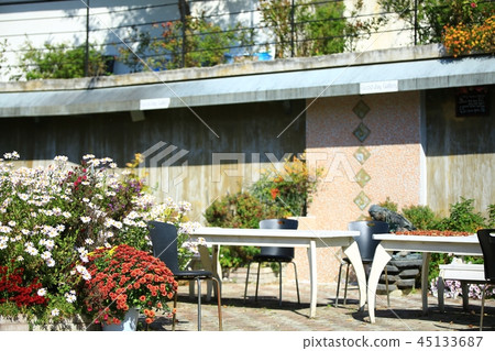 Snap, still life, props, art, creative 45133687