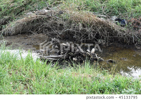 風景 45133795