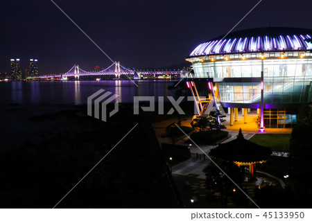 APEC Nurimaru夜景 45133950