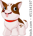 Puppy Dog 45134197