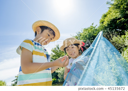 弟弟和妹妹玩蚱蜢 弟弟和妹妹玩蚱蜢 45135672