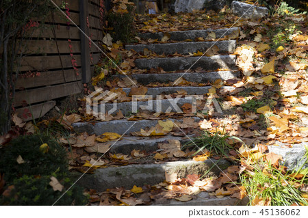 在石步的下落的葉子 45136062