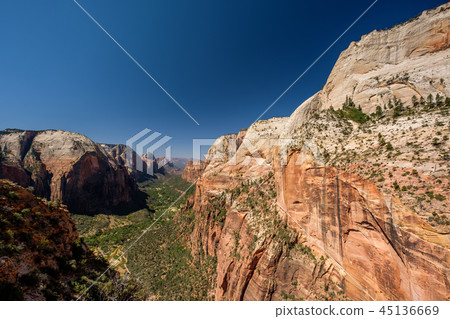 Landscape in Zion National Park Landscape in Zion National Park 45136669