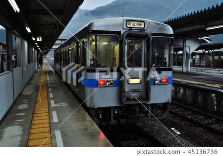 Dohita Line ordinary train (1000 form) stopping at Awa Ikeda Station 45136736