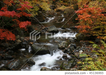 Teruha Gorge Autumn leaves Teruha Gorge Autumn leaves 45136993