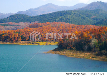 秋葉寶湖 秋葉寶湖 45137421