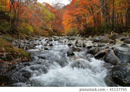 Autumn leaves of Terracotta Autumn leaves of Terracotta 45137795