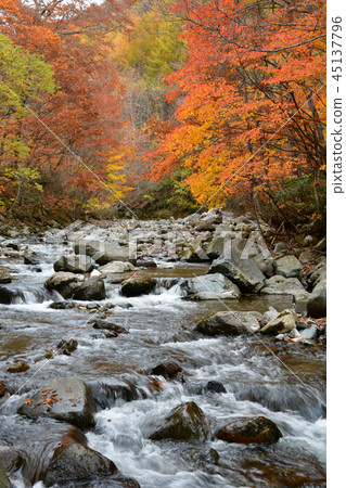 Autumn leaves of Terracotta Autumn leaves of Terracotta 45137796