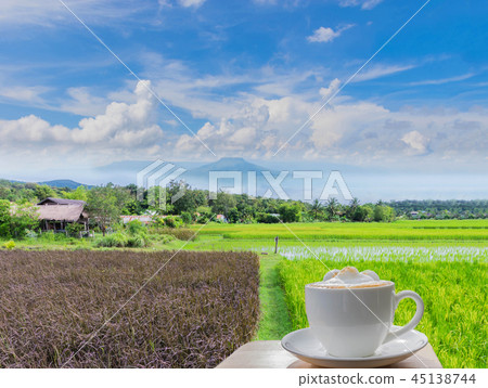 coffee with green paddy rice, glutinous rice, bla 45138744