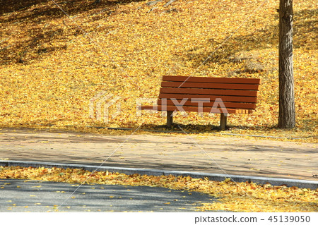 秋天，庭院，公園，葉子，秋天風景，pheonis 45139050
