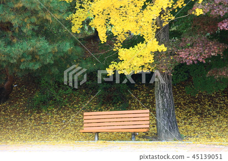 秋天，庭院，公園，葉子，秋天風景，pheonis 45139051