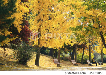 秋天，庭院，公園，葉子，秋天風景，pheonis 45139053