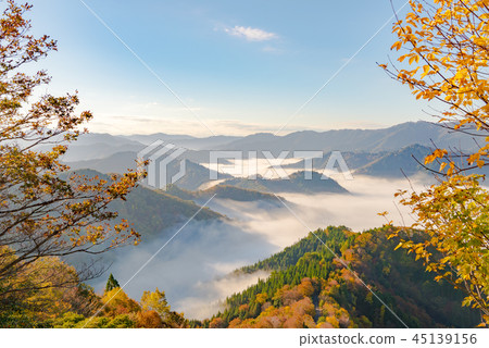 秋葉清晨 秋葉清晨 45139156