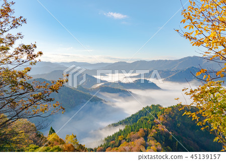 Autumn leaves early morning Autumn leaves early morning 45139157