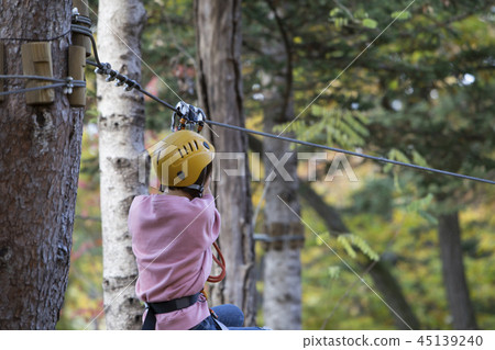 Zipline Ride Zipline Ride 45139240