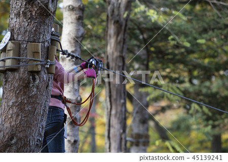 Zipline Ride 45139241