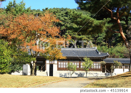 Autumn, garden, park, foliage, autumn landscape, pheonis 45139914