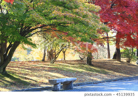 秋天,庭院,公園,葉子,秋天風景,pheonis 秋天,庭院,公園,葉子,秋天風景,pheonis 45139935