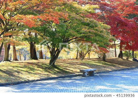 Autumn, garden, park, foliage, autumn landscape, pheonis Autumn, garden, park, foliage, autumn landscape, pheonis 45139936