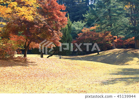 Autumn, garden, park, foliage, autumn landscape, pheonis Autumn, garden, park, foliage, autumn landscape, pheonis 45139944